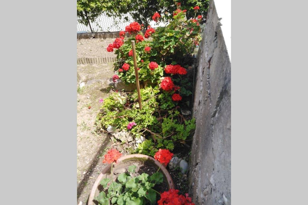 Appartement Moneghetti Beausoleil